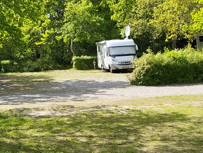 Reisemobilstellplatz - camping.info Buchung - Stellplatz auf Kies, mit Satelitemfang - Nysted Stellplatz