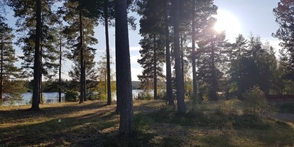 Reisemobilstellplatz - Art des Stellplatz: bei Gewässer - Mittelschweden - Camping unter Kiefern - Furudals Vandrarhem och Sjöcamping