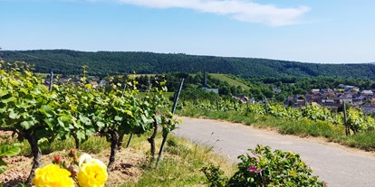 Reisemobilstellplatz - Stromanschluss - Wöllstein - Weinberge des Weinguts Paulus oberhalb von Waldlaubersheim - Weingut Paulus