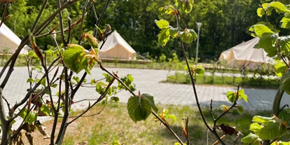 Reisemobilstellplatz - Art des Stellplatz: Messe - Westjütland - Zelt platz - Sunds SøCamp