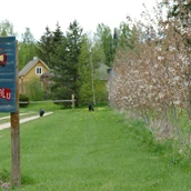 Parkeerplaats voor campers - Palsi talu, ein hübscher kleiner Biobauernhof im Südosten Estlands für Naturliebhaber. 