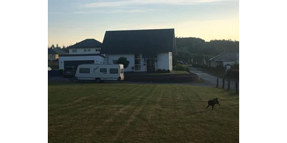 Parkeerplaats voor camper - Vöhl - Hunde können auf der Wiese spielen - Hofanlage Murk