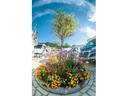 Parkeerplaats voor camper - Blumendekoration am Stellplatz Nesselwang - Wohnmobilstellplatz Nesselwang im Allgäu