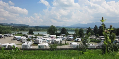 Place de parking pour camping-car - Art des Stellplatz: bei Gewässer - Allemagne - Via Claudia Camping