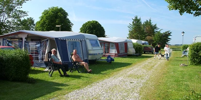 Posto auto camper - WLAN: teilweise vorhanden - Danimarca - Wir haben Hecken zwischen den Stellplätze bei Egense Strand Camping - Egense Strand Camping