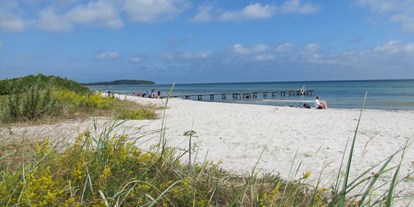 Reisemobilstellplatz - Umgebungsschwerpunkt: Strand - Dänemark - Direktzugang zum Badestrand. - Camp Hverringe