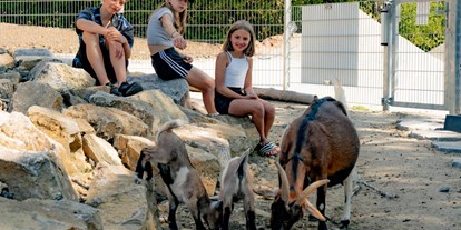 Reisemobilstellplatz - Kupferzell - Der Streichelzoo mit Pfaue, Hühner, Ziegen, Schafe und Alpakas - Jagstblick Camping