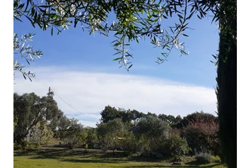 Wohnmobilstellplatz: Blick über den Garten zur Küste - Quinta Arcadia bei Lissabon
