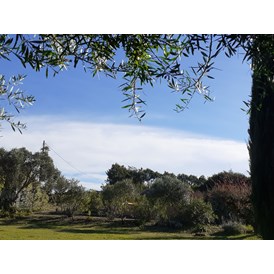 Wohnmobilstellplatz: Blick über den Garten zur Küste - Quinta Arcadia bei Lissabon