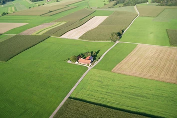 Wohnmobilstellplatz: Idyllischer Alleinlagehof und Gartenparadies "Schwanzerhof"