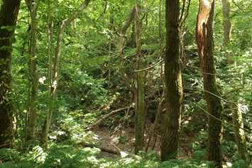 Wohnmobilstellplatz: Auf dem Highway 170 fahren Sie in den Wald direkt gegenüber Ladegårdsvej, dann rechts halten und folgen Sie den Schildern.
Hier kommt unsere CamperPark.
Dan finden Sie den Platz, den Sie am meisten wünschen. - Chr. Rifbjerg´s. CamperParken