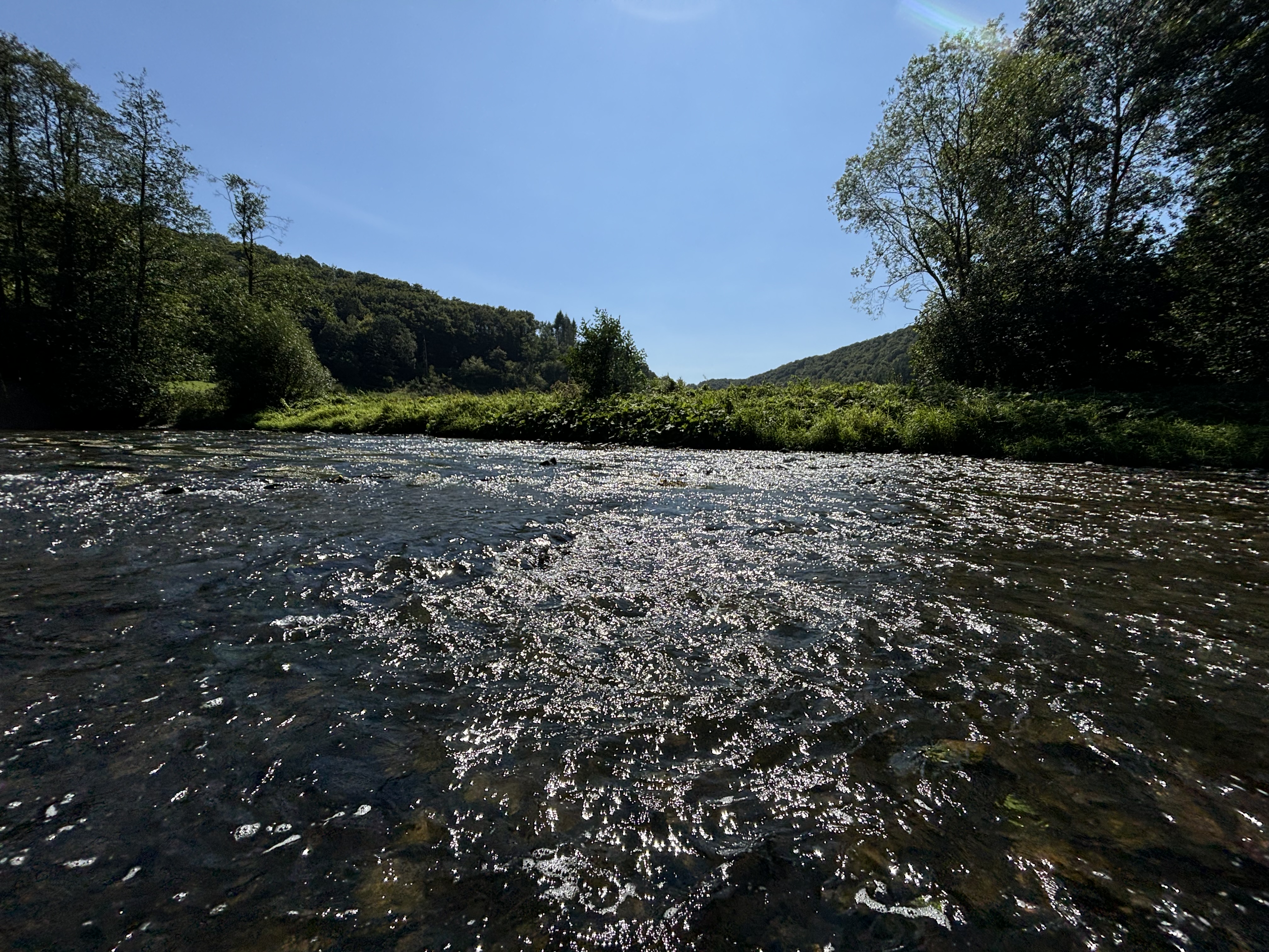 Wohnmobilstellplatz: Camping Tintesmühle