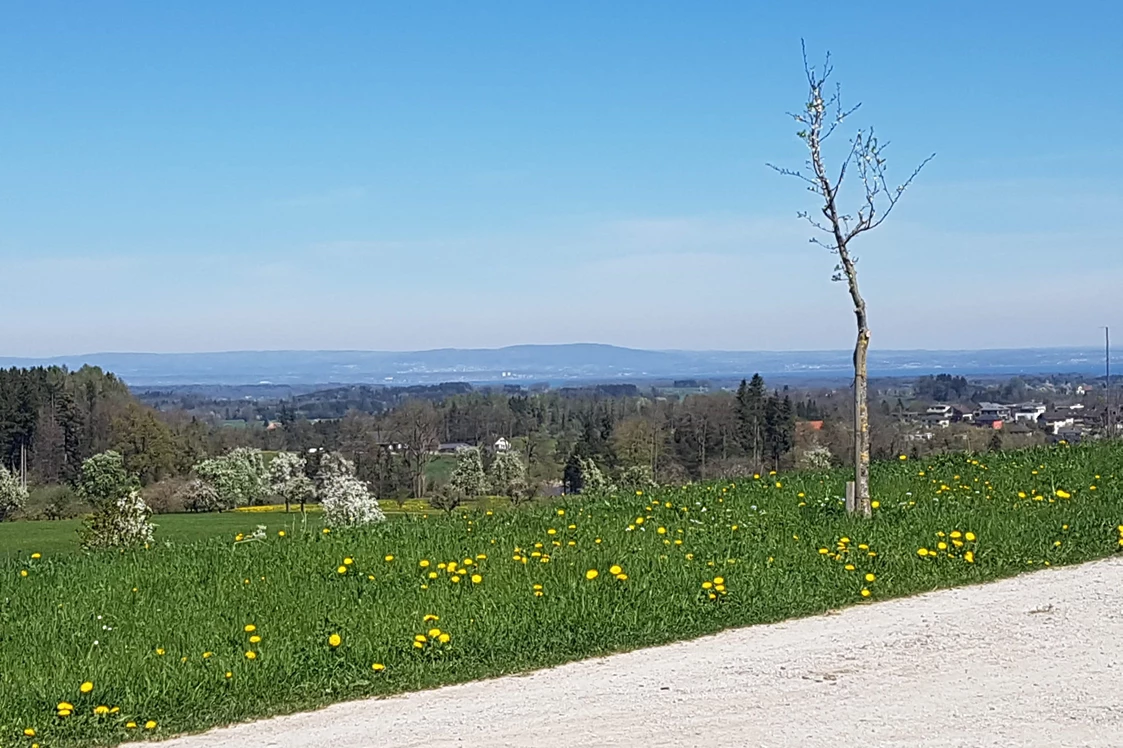 Wohnmobilstellplatz: Sicht auf den etwa 20 km entfernten Bodensee - Frohburg