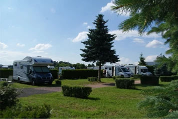 Wohnmobilstellplatz: Schön grün ist es bei uns. - CaravaningPark Dresden - Ihr Wohnmobilstellplatz schaffer-mobil