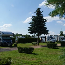 Wohnmobilstellplatz: Schön grün ist es bei uns. - CaravaningPark Dresden - Ihr Wohnmobilstellplatz schaffer-mobil