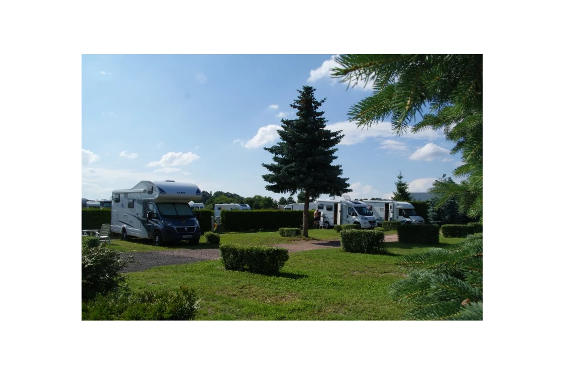 Wohnmobilstellplatz: Schön grün ist es bei uns. - CaravaningPark Dresden - Ihr Wohnmobilstellplatz schaffer-mobil