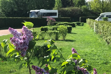 Wohnmobilstellplatz: Der CaravaningPark im Frühling - CaravaningPark Dresden - Ihr Wohnmobilstellplatz schaffer-mobil