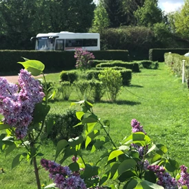 Wohnmobilstellplatz: Der CaravaningPark im Frühling - CaravaningPark Dresden - Ihr Wohnmobilstellplatz schaffer-mobil