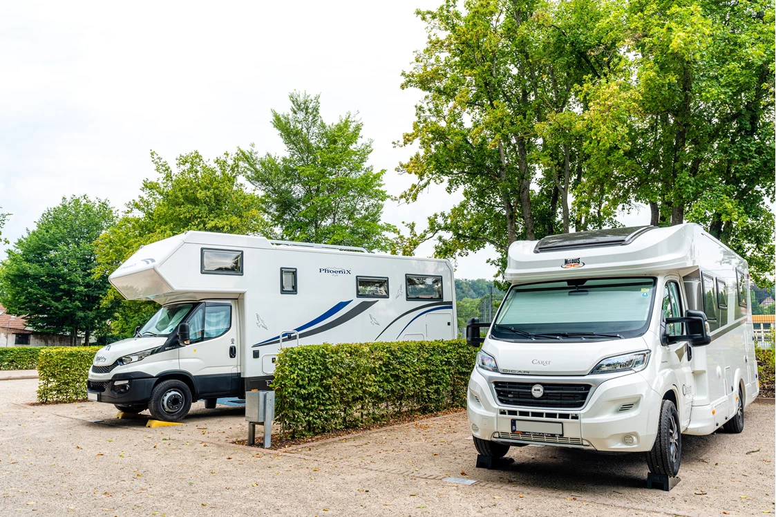 Wohnmobilstellplatz: Wohnmobil Park Freizeitpark an der Schließ, Zweibrücken