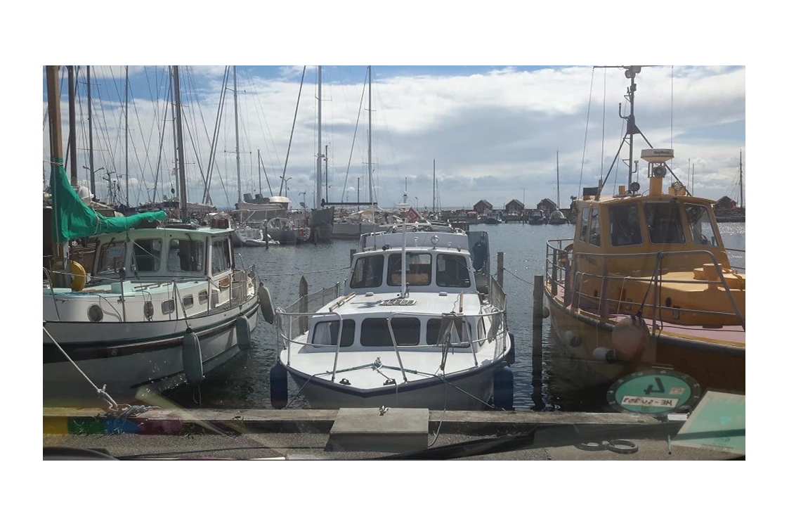 Wohnmobilstellplatz: Rødvig Fiskerihavnen - Rødvig Fiskerihavnen