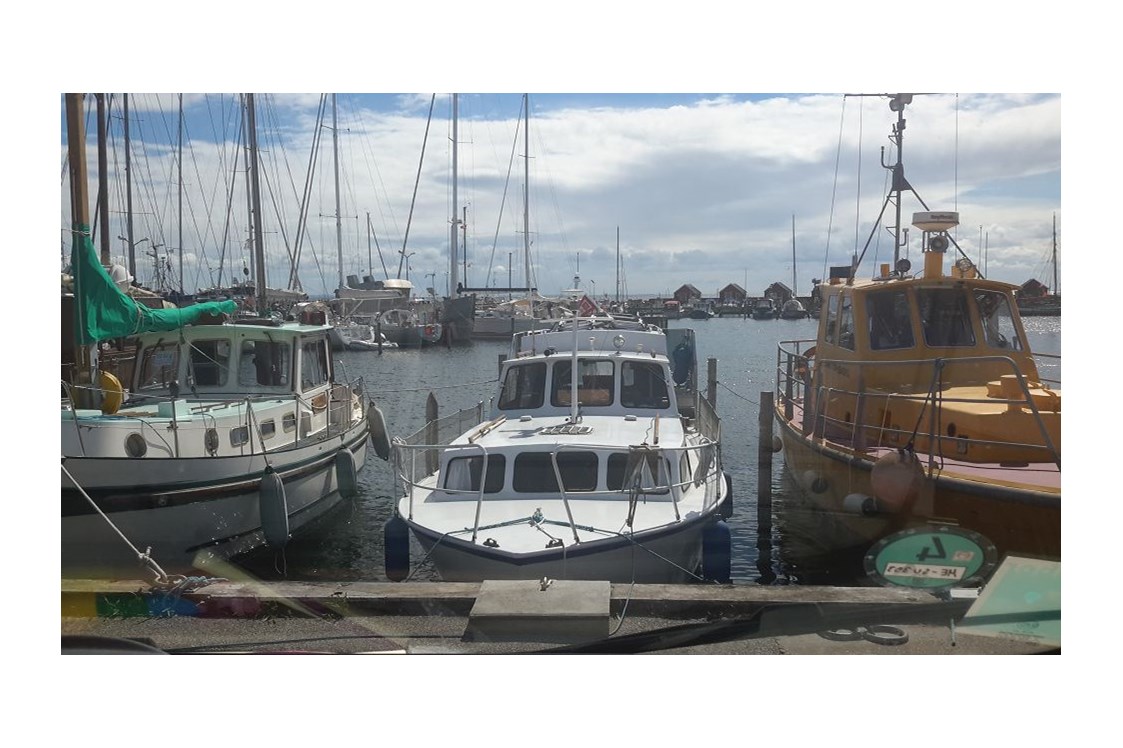 Wohnmobilstellplatz: Rødvig Fiskerihavnen - Rødvig Fiskerihavnen