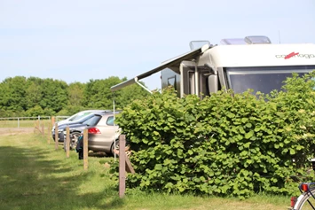 Wohnmobilstellplatz: Stellplatz an der Kieselbucht