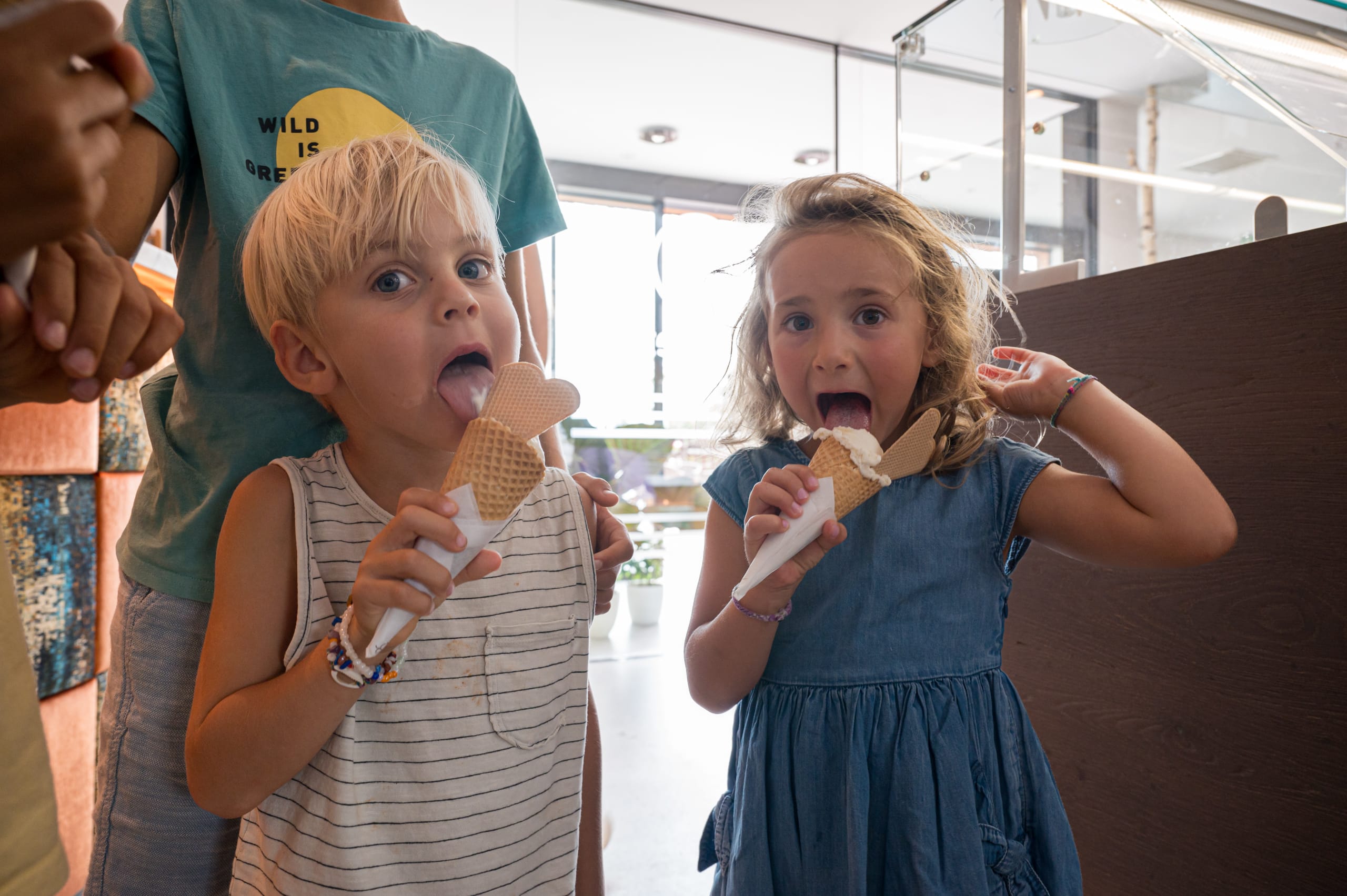 Reisemobilstellplatz: Gelato - SchartnerAlm Camping