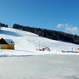 Wohnmobilstellplatz: Gasthof Hubmann