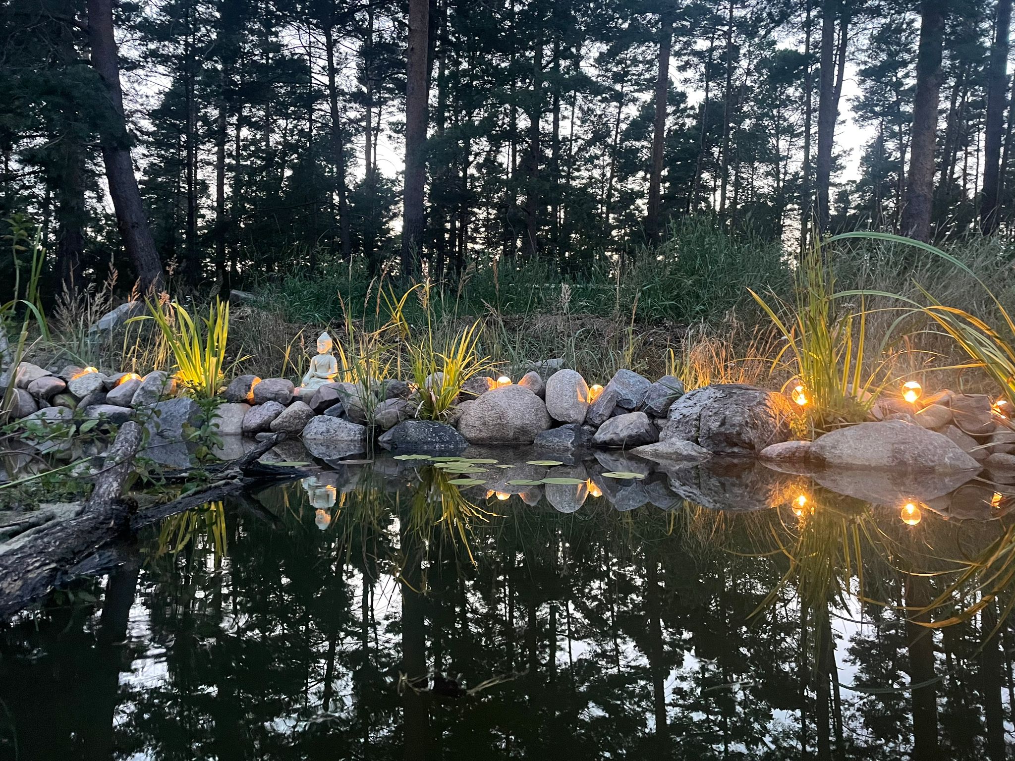 Wohnmobilstellplatz: Stellplatz am Waldrand