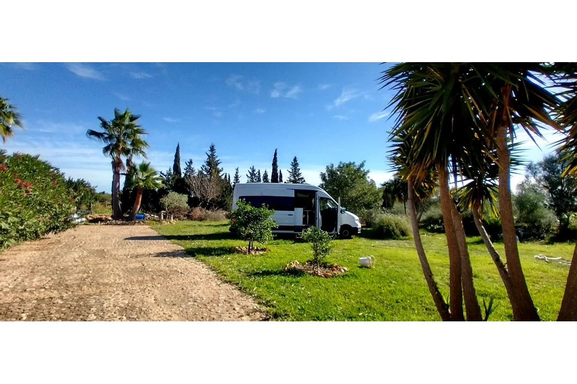 Wohnmobilstellplatz: Finca Sa Vinya, Mallorca