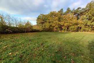 Wohnmobilstellplatz: Stellplätze - Himmelstor