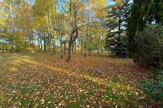 Wohnmobilstellplatz: Stellplatzätze 
 - Himmelstor