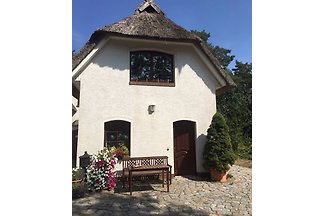 Wohnmobilstellplatz: Eingang Ferienhaus 88 qm - Himmelstor