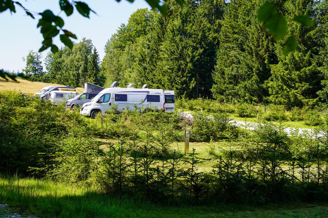 Wohnmobilstellplatz: Blick auf den Wohnmobilhafen - Camping Resort Bayerwald