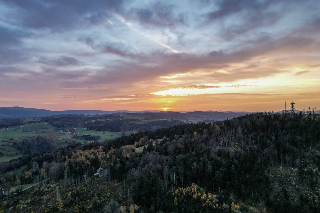 Wohnmobilstellplatz: Unser Bayerischer Wald - vom Aussichtsturm schaut man nach Österreich und Tschechien - Camping Resort Bayerwald