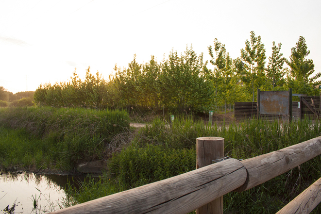 Wohnmobilstellplatz: Sils