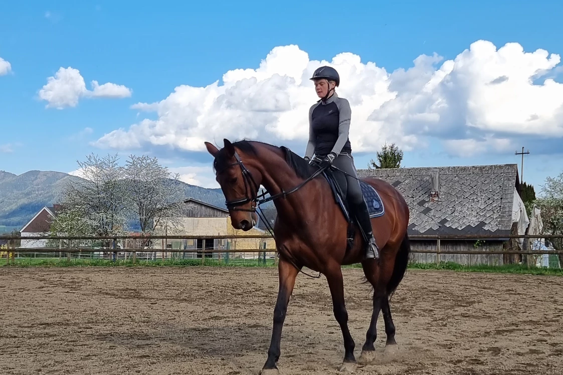 Wohnmobilstellplatz: Pferdehof Reitingau