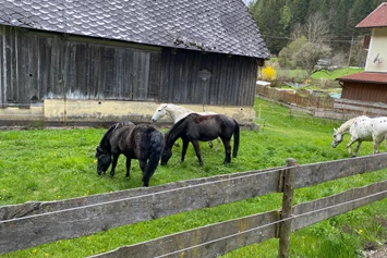 Wohnmobilstellplatz: Pferdehof Reitingau