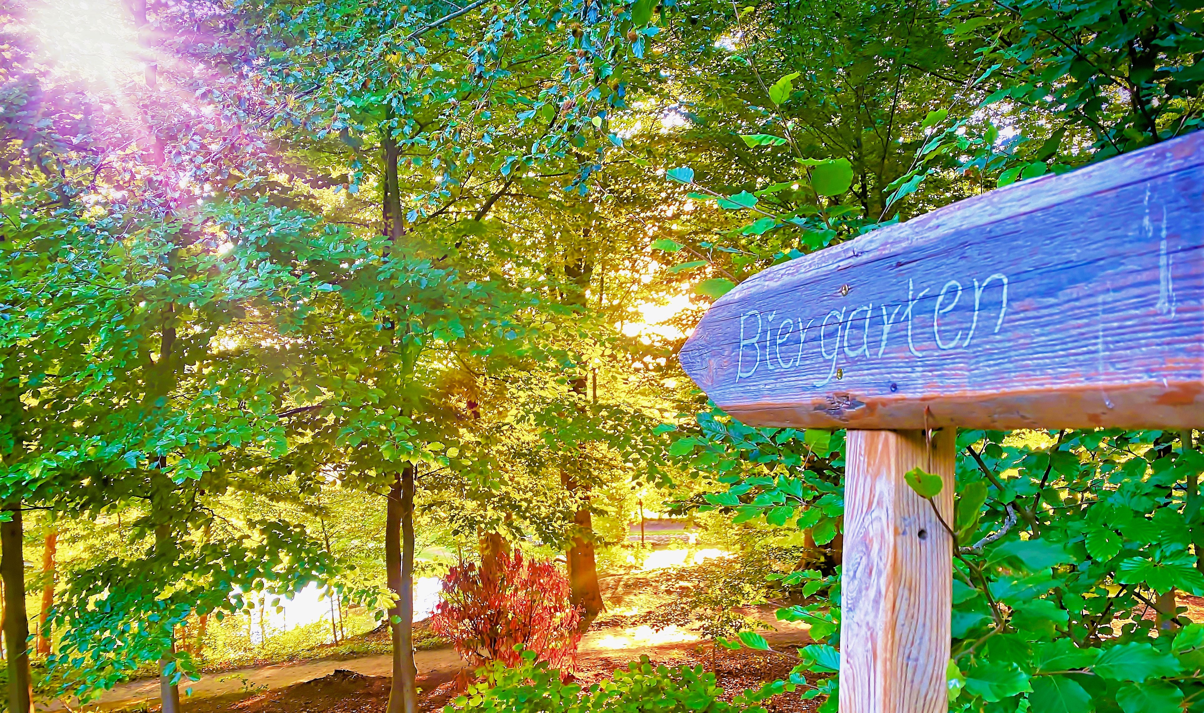 Wohnmobilstellplatz: Baccumer Mühle Wohnmobilstellplatz