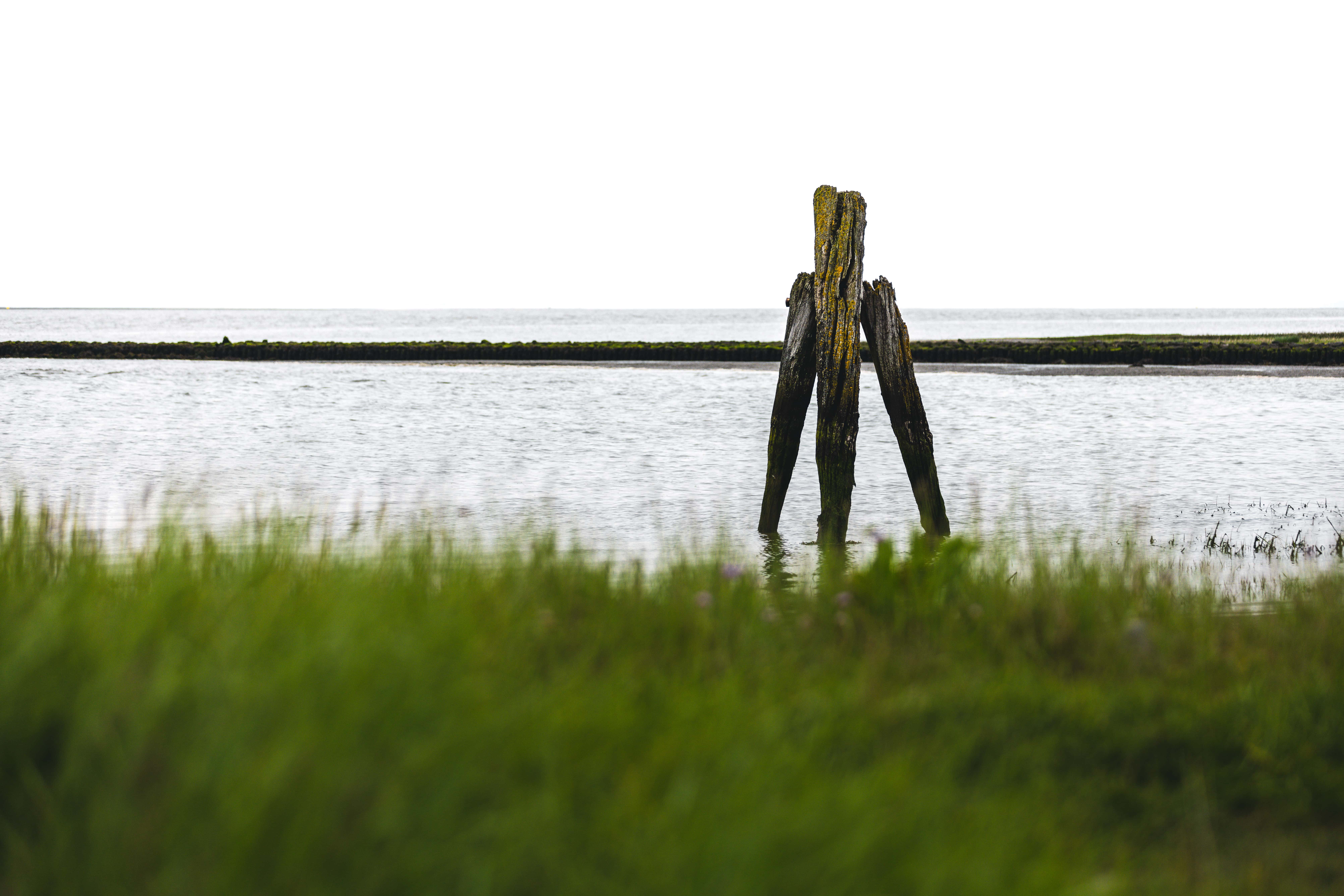 Reisemobilstellplatz - Art des Stellplatz: im Campingplatz - Butjadingen Fedderwardersiel - Regenbogen Fedderwardersiel