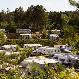 Wohnmobilstellplatz: DCU-Camping Ebeltoft - Mols