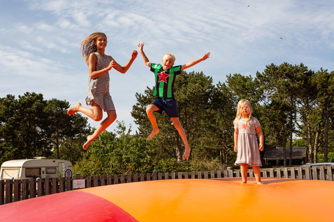 Wohnmobilstellplatz: DCU-Camping Flyvesandet Strand