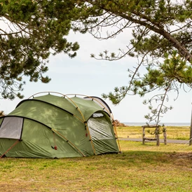 Wohnmobilstellplatz: DCU-Camping Flyvesandet Strand