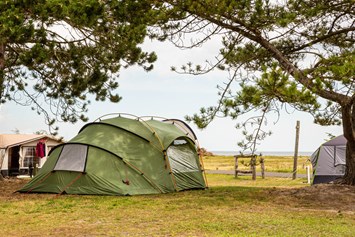 Wohnmobilstellplatz: DCU-Camping Flyvesandet Strand