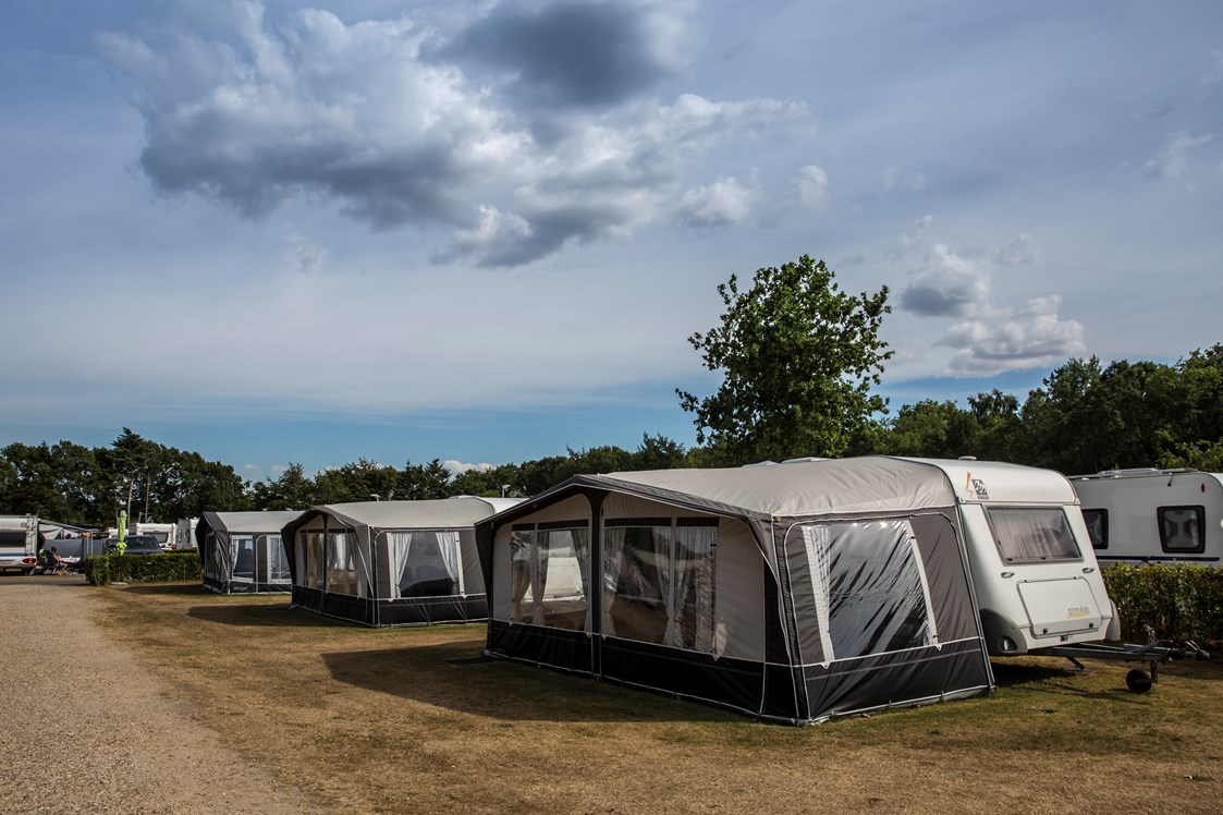 Wohnmobilstellplatz: DCU-Camping Viborg Sø