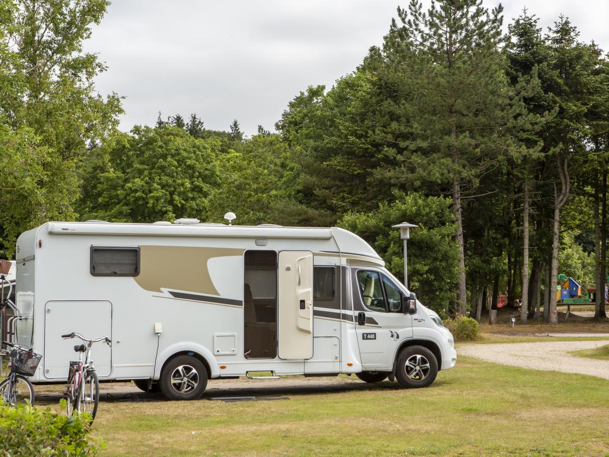 Wohnmobilstellplatz: DCU-Camping Viborg Sø
