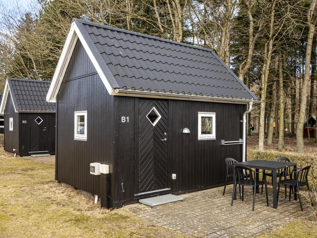 Wohnmobilstellplatz: DCU-Camping Viborg Sø