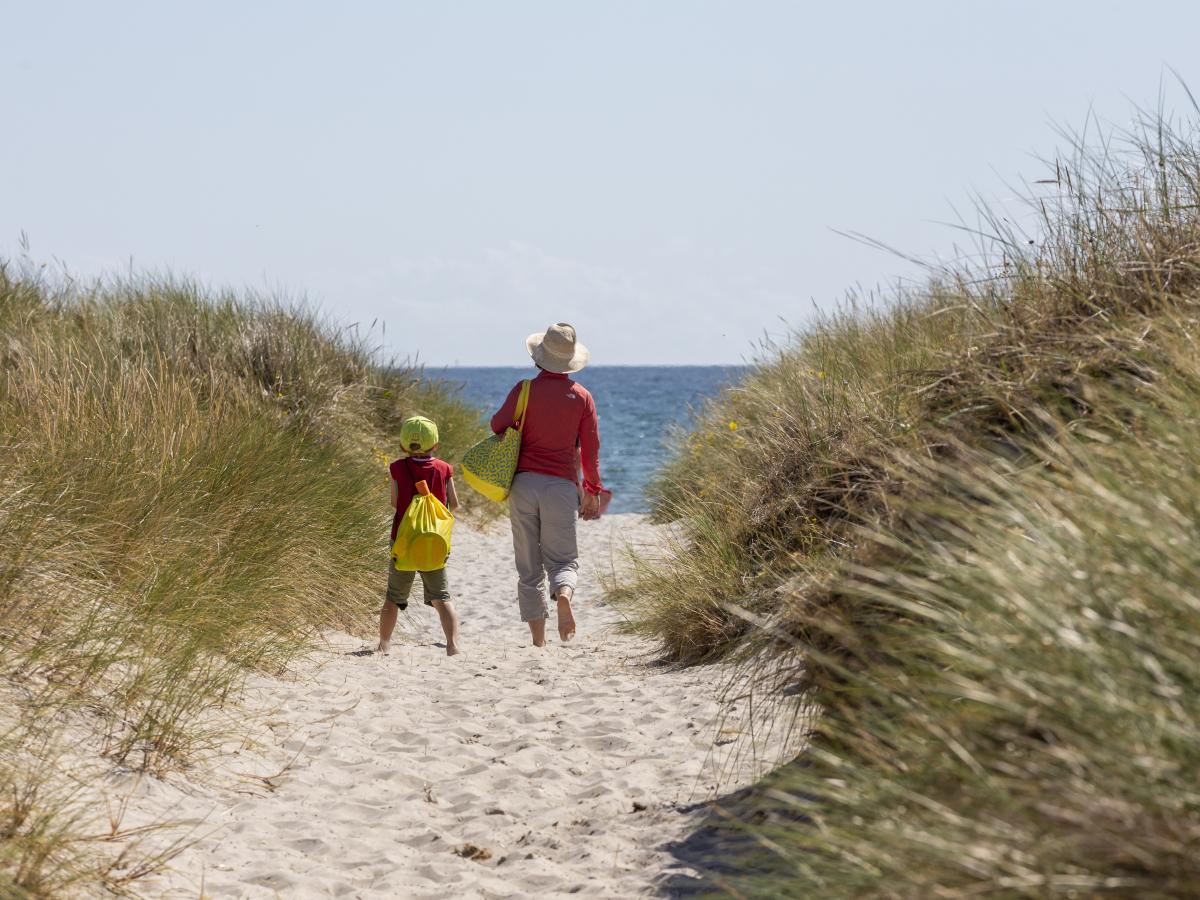Wohnmobilstellplatz: DCU-Camping Ålbæk Strand