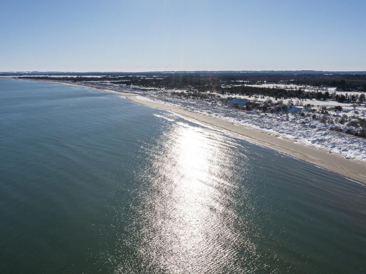 Wohnmobilstellplatz: DCU-Camping Ålbæk Strand