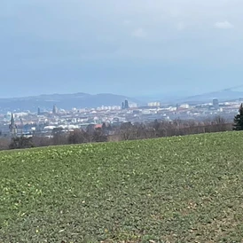 Wohnmobilstellplatz: Blick auf Dresden - Panoramablick: Radebeul-Dresden-Sächs.Schweiz